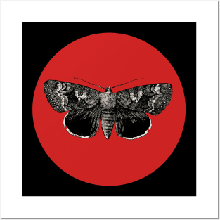 Halloween Moth,  Portents, Omens, Signs, and Fortunes - - Red and Black Variation Posters and Art